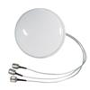 Picture for category 2.4 GHz Diversity/MIMO/802.11n Antennas