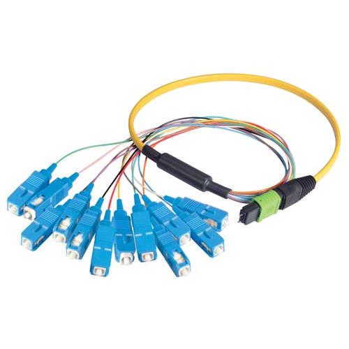 Picture of MPO Male to 12x SC Fan-out, 12 Fiber Ribbon, 9/125 Singlemode, OFNR Jacket, Yellow, 0.5m