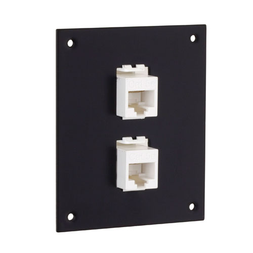 Picture of Universal Sub-Panel, 2 Category 5e Low Profile Mini-Couplers, RJ45 Straight Thru