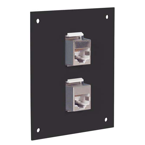 Picture of Universal Sub-Panel, 2 110 Shielded Category 6 Jacks, RJ45 EIA568