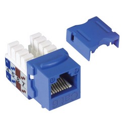 Picture of Category 6 Keystone Jack 110/RJ45 EIA568A/B Blue
