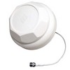 Picture of 698-960/1710-2700 MHz Ceiling Mount DAS Antenna - N-Female