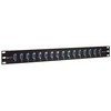 Picture of 1.75" x 19" Panels with 16 DB9 Female / Female Couplers