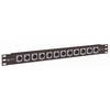 Picture of 1.75" x 19" Panel (Black), 12 - XLR Male Connectors