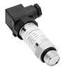 Picture of Pressure Transmitter, 0-100psi, 0.5-4.5V out, 5V, Stainless 316L, NPT1/2 M, DIN 43650, Plug, Gauge