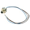 Picture of M12 4 Position A Code Male Receptacle, IP69K Rated, Rear Mounting Style with 0.3m Leads