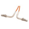 Picture of Fiber Optic Patch Cable, Dual LC/ PC to LC/PC OS1 Bend Insensitive Single Mode, OFNR, Yellow-2M