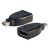 Picture of DisplayPort Female to Mini DisplayPort Male Adapter